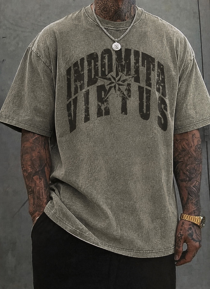 T-shirt uomo Aurea verde salvia washed, scritta Indomita Virtus ad arco